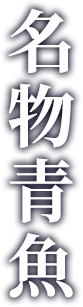 名物青魚