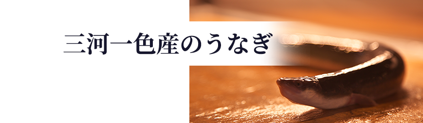 うなぎ