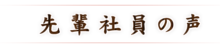 先輩社員の声