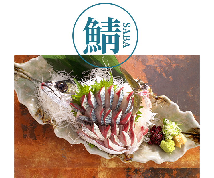 鯖SABA