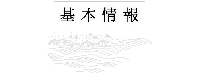 基本情報