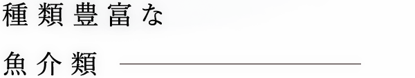 種類豊富な魚介類