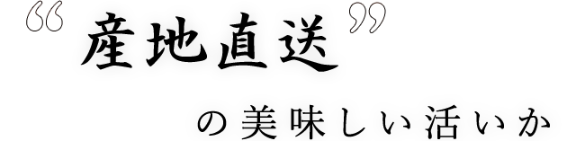 “産地直送”の美味しい活いか