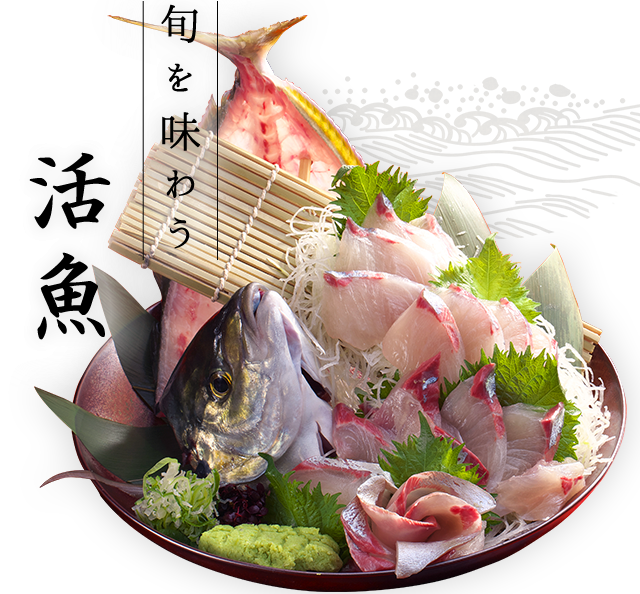 岡崎 東岡崎で楽しむ生簀の美味しい活イカと日本酒 岡崎 東岡崎で楽しむ生簀の美味しい活イカと日本酒