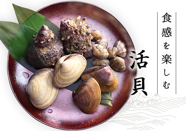 食感を楽しむ活貝