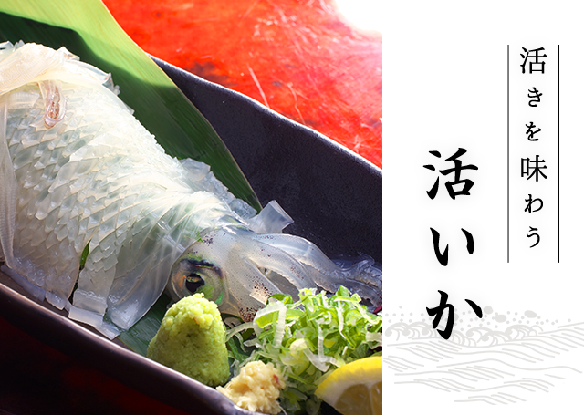 岡崎 東岡崎の美味しいグルメや馬刺し 鰻料理を味わう