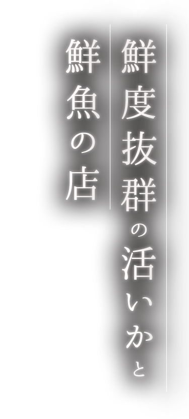 鮮度抜群の活いかと 鮮魚の店